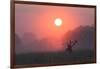 A Red Deer Buck, Cervus Elaphus, Silhouetted Against a Dramatic Sky-Alex Saberi-Framed Photographic Print