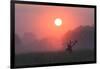 A Red Deer Buck, Cervus Elaphus, Silhouetted Against a Dramatic Sky-Alex Saberi-Framed Photographic Print