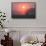 A Red Deer Buck, Cervus Elaphus, Silhouetted Against a Dramatic Sky-Alex Saberi-Framed Stretched Canvas displayed on a wall