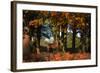 A Red Deer, Cervus Elaphus, in London's Richmond Park-Alex Saberi-Framed Photographic Print