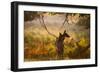 A Red Deer Mother and Young in the Autumn Leaves at Sunrise in Richmond Park-Alex Saberi-Framed Photographic Print