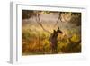 A Red Deer Mother and Young in the Autumn Leaves at Sunrise in Richmond Park-Alex Saberi-Framed Photographic Print