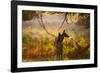 A Red Deer Mother and Young in the Autumn Leaves at Sunrise in Richmond Park-Alex Saberi-Framed Photographic Print