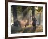 A Red Deer Stag and a Doe Wait in the Early Morning Mists in Richmond Park in Autumn-Alex Saberi-Framed Photographic Print