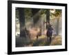 A Red Deer Stag and a Doe Wait in the Early Morning Mists in Richmond Park in Autumn-Alex Saberi-Framed Photographic Print