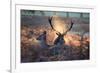 A Red Deer Stag and Doe in the Autumn Mists of Richmond Park During the Rut-Alex Saberi-Framed Photographic Print