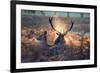 A Red Deer Stag and Doe in the Autumn Mists of Richmond Park During the Rut-Alex Saberi-Framed Photographic Print