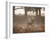 A Red Deer Stag Bellows Out During the Rut in Richmond Park-Alex Saberi-Framed Photographic Print