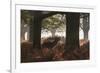A Red Deer Stag Bellows Out During the Rut in Richmond Park-Alex Saberi-Framed Photographic Print