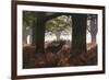 A Red Deer Stag Bellows Out During the Rut in Richmond Park-Alex Saberi-Framed Photographic Print