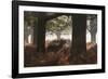 A Red Deer Stag Bellows Out During the Rut in Richmond Park-Alex Saberi-Framed Photographic Print