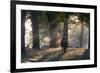 A Red Deer Stag, Cervus Elaphus, Waits in the Early Morning Mists in Richmond Park in Autumn-Alex Saberi-Framed Photographic Print