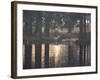 A Red Deer Stag Herds His Female Deer Along a Pond in Richmond Park-Alex Saberi-Framed Photographic Print