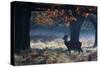 A Red Deer Stag in a Forest with Colorful Fall Foliage-Alex Saberi-Stretched Canvas