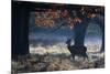 A Red Deer Stag in a Forest with Colorful Fall Foliage-Alex Saberi-Mounted Photographic Print