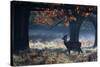 A Red Deer Stag in a Forest with Colorful Fall Foliage-Alex Saberi-Stretched Canvas