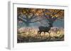 A Red Deer Stag in a Forest with Colorful Fall Foliage-Alex Saberi-Framed Photographic Print