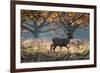 A Red Deer Stag in a Forest with Colorful Fall Foliage-Alex Saberi-Framed Photographic Print