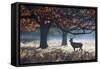 A Red Deer Stag in a Forest with Colorful Fall Foliage-Alex Saberi-Framed Stretched Canvas