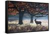 A Red Deer Stag in a Forest with Colorful Fall Foliage-Alex Saberi-Framed Stretched Canvas