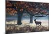 A Red Deer Stag in a Forest with Colorful Fall Foliage-Alex Saberi-Mounted Photographic Print