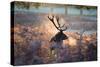 A Red Deer Stag in the Autumn Mists of Richmond Park-Alex Saberi-Stretched Canvas
