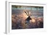 A Red Deer Stag in the Autumn Mists of Richmond Park-Alex Saberi-Framed Photographic Print