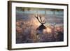 A Red Deer Stag in the Autumn Mists of Richmond Park-Alex Saberi-Framed Photographic Print