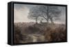 A Red Deer Stag Makes His Way Through a Misty Landscape in Richmond Park-Alex Saberi-Framed Stretched Canvas