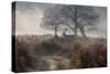 A Red Deer Stag Makes His Way Through a Misty Landscape in Richmond Park-Alex Saberi-Stretched Canvas