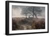 A Red Deer Stag Makes His Way Through a Misty Landscape in Richmond Park-Alex Saberi-Framed Photographic Print