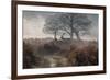 A Red Deer Stag Makes His Way Through a Misty Landscape in Richmond Park-Alex Saberi-Framed Photographic Print