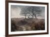 A Red Deer Stag Makes His Way Through a Misty Landscape in Richmond Park-Alex Saberi-Framed Photographic Print