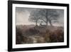 A Red Deer Stag Makes His Way Through a Misty Landscape in Richmond Park-Alex Saberi-Framed Photographic Print