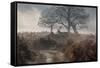 A Red Deer Stag Makes His Way Through a Misty Landscape in Richmond Park-Alex Saberi-Framed Stretched Canvas