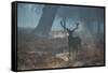 A Red Deer Stag Stands His Ground in a Misty Richmond Park-Alex Saberi-Framed Stretched Canvas