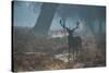 A Red Deer Stag Stands His Ground in a Misty Richmond Park-Alex Saberi-Stretched Canvas