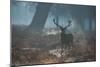 A Red Deer Stag Stands His Ground in a Misty Richmond Park-Alex Saberi-Mounted Photographic Print