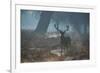 A Red Deer Stag Stands His Ground in a Misty Richmond Park-Alex Saberi-Framed Photographic Print