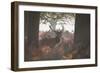 A Red Deer Stag Stands in a Forest in Richmond Park in Autumn-Alex Saberi-Framed Photographic Print