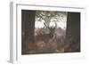 A Red Deer Stag Stands in a Forest in Richmond Park in Autumn-Alex Saberi-Framed Photographic Print