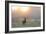 A Red Deer Stag Stands in Autumn Mist at Sunrise-Alex Saberi-Framed Photographic Print