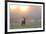 A Red Deer Stag Stands in Autumn Mist at Sunrise-Alex Saberi-Framed Photographic Print