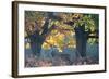 A Red Deer Stag Stands under a Colorful Oak in Richmond Park-Alex Saberi-Framed Photographic Print