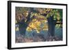 A Red Deer Stag Stands under a Colorful Oak in Richmond Park-Alex Saberi-Framed Photographic Print