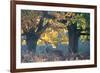 A Red Deer Stag Stands under a Colorful Oak in Richmond Park-Alex Saberi-Framed Photographic Print