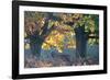 A Red Deer Stag Stands under a Colorful Oak in Richmond Park-Alex Saberi-Framed Photographic Print