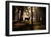 A Red Deer Stag Walks Through a Forest in the Early Morning Mist in Richmond Park in Autumn-Alex Saberi-Framed Photographic Print