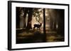 A Red Deer Stag Walks Through a Forest in the Early Morning Mist in Richmond Park in Autumn-Alex Saberi-Framed Photographic Print