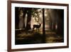 A Red Deer Stag Walks Through a Forest in the Early Morning Mist in Richmond Park in Autumn-Alex Saberi-Framed Photographic Print